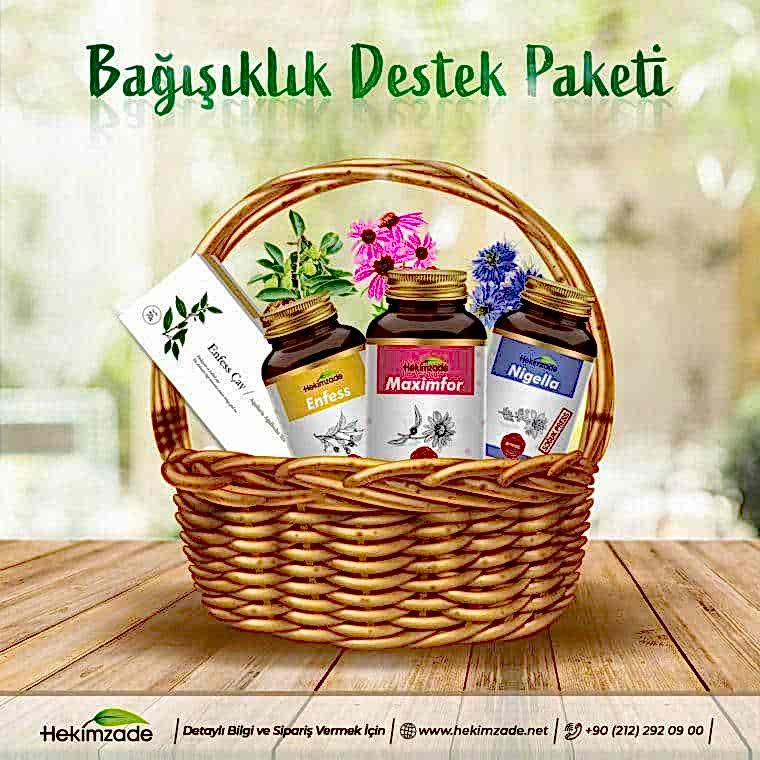 bagisiklik destek paketi