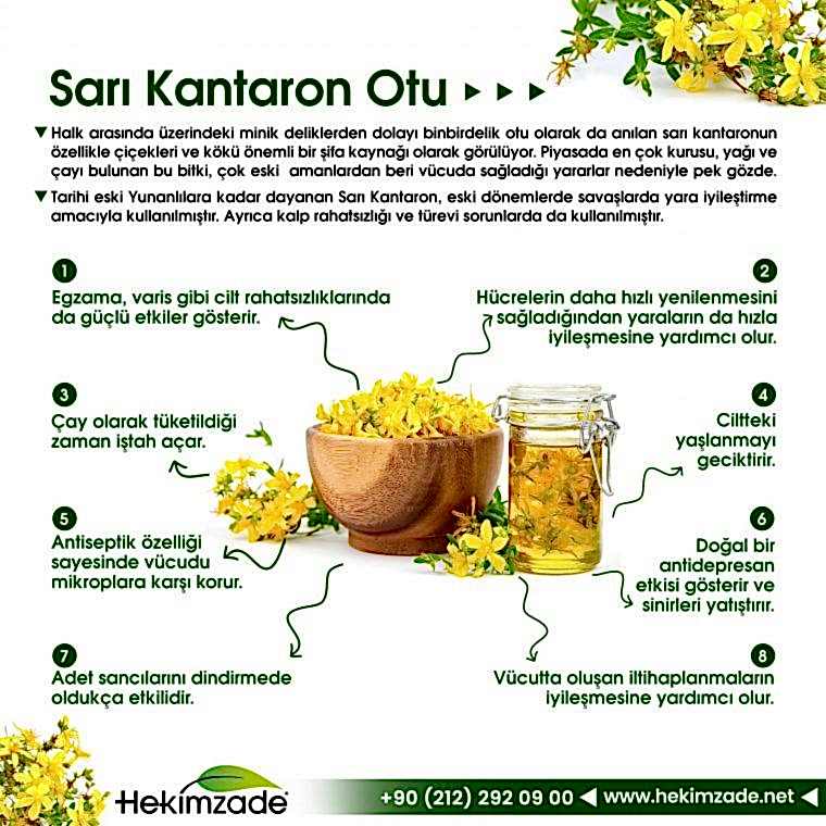 Sarı Kantaron Otu Instagram Post ve Story Tasarımı